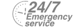 24/7 Emergency Service Pest Control in Rainham, RM13. Call Now! 020 8166 9746