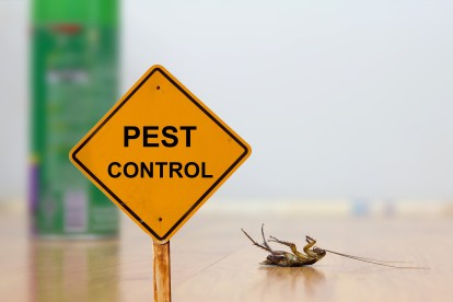 Pest Contol in Rainham, RM13. Call Now 020 8166 9746